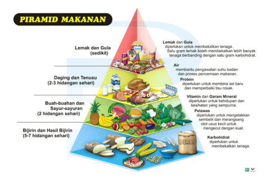 Piramid Makanan - Progressive Scientific Sdn. Bhd.