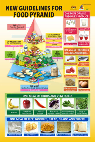 New Guidelines For Food Pyramid - Progressive Scientific Sdn. Bhd.