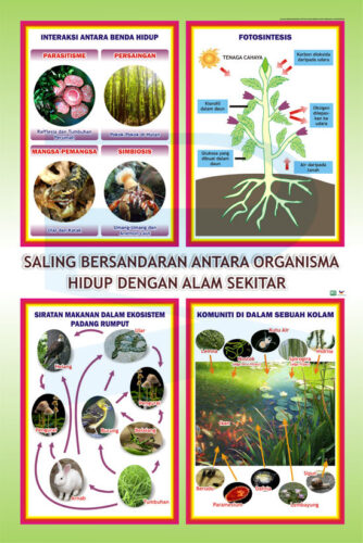 Saling Bersandaran Antara Organisma Hidup Dengan Alam Sekitar ...