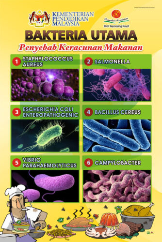 Bakteria Utama Penyebab Keracunan Makanan Progressive Scientific Sdn