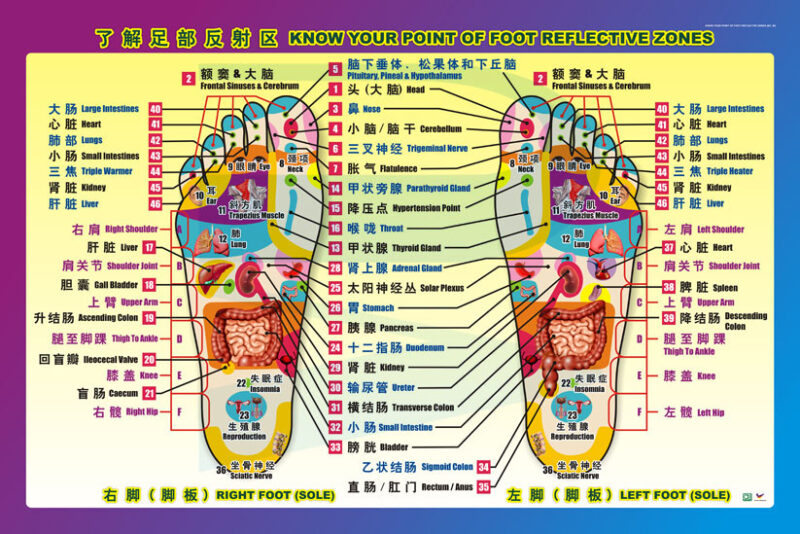 Know Your Point Of Foot Reflective Zones (BC, BI) - Progressive ...