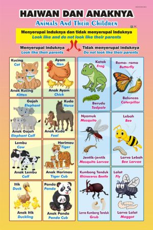 Haiwan Dan Anaknya (BM,BI)