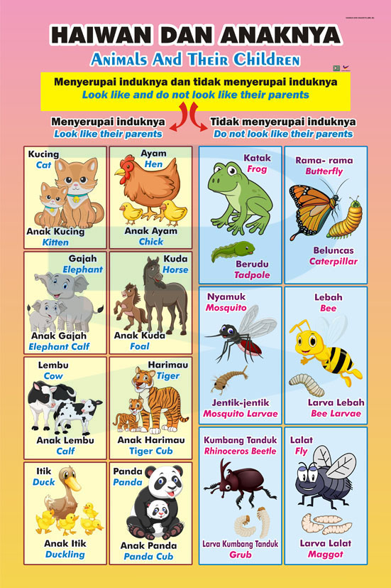 Haiwan Dan Anaknya (BM,BI)