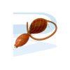 Pipette Bulb Double ball with net